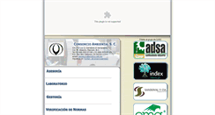 Desktop Screenshot of consorcioambiental.com